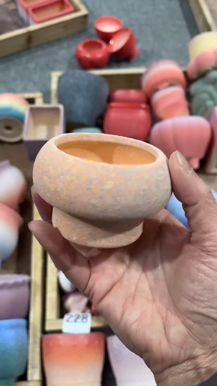 【闪购商品】红陶6*6