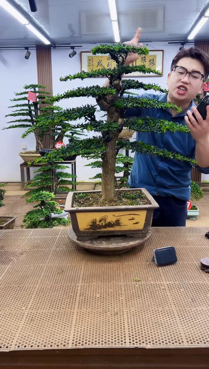 无花朵一物一拍，所见即所得