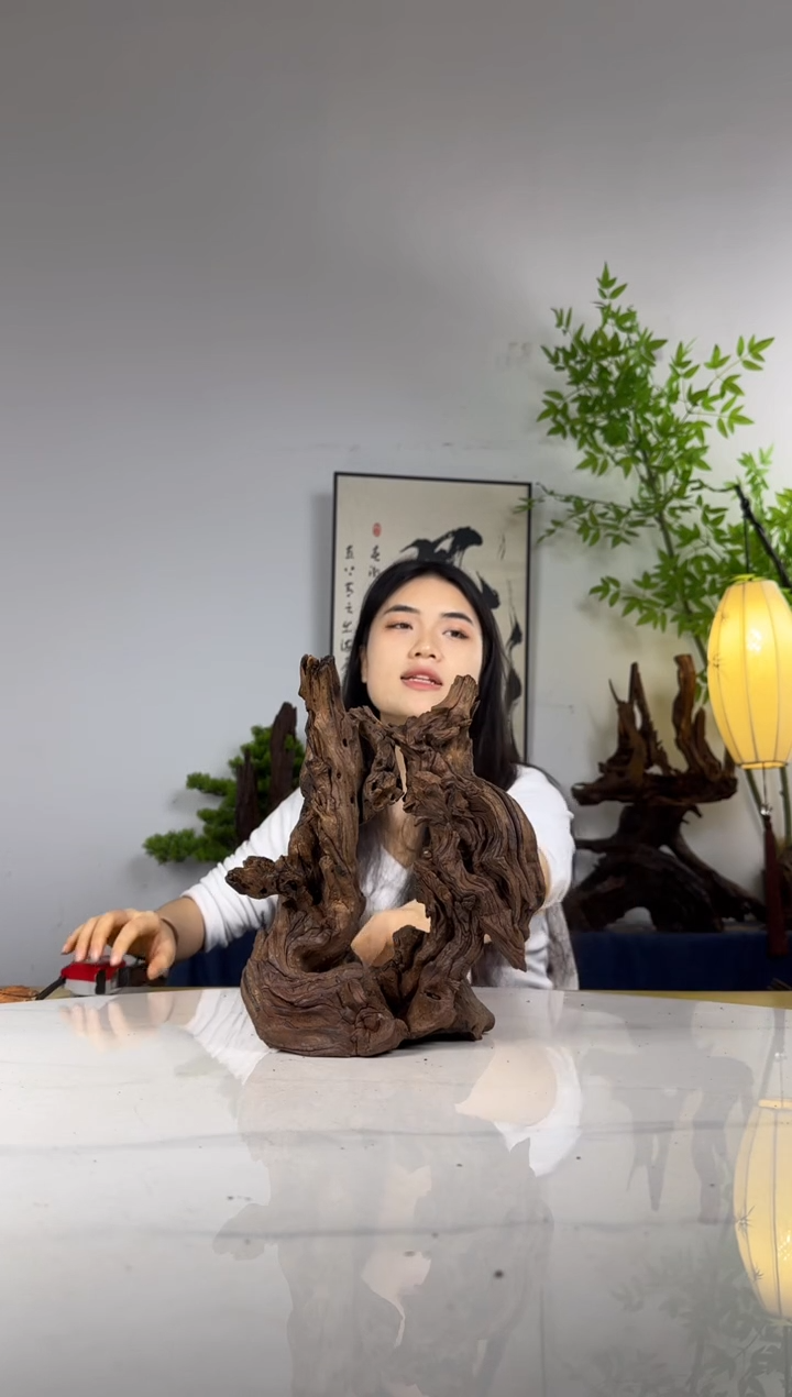 邂*拍沉木定向链接编号42