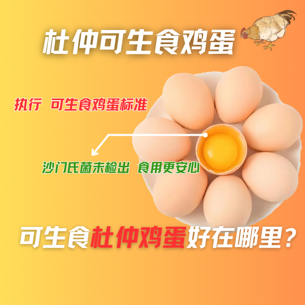 西农稷盛杜仲无抗可生食鸡蛋（套餐定3/6/12箱*40枚鸡蛋）无菌蛋