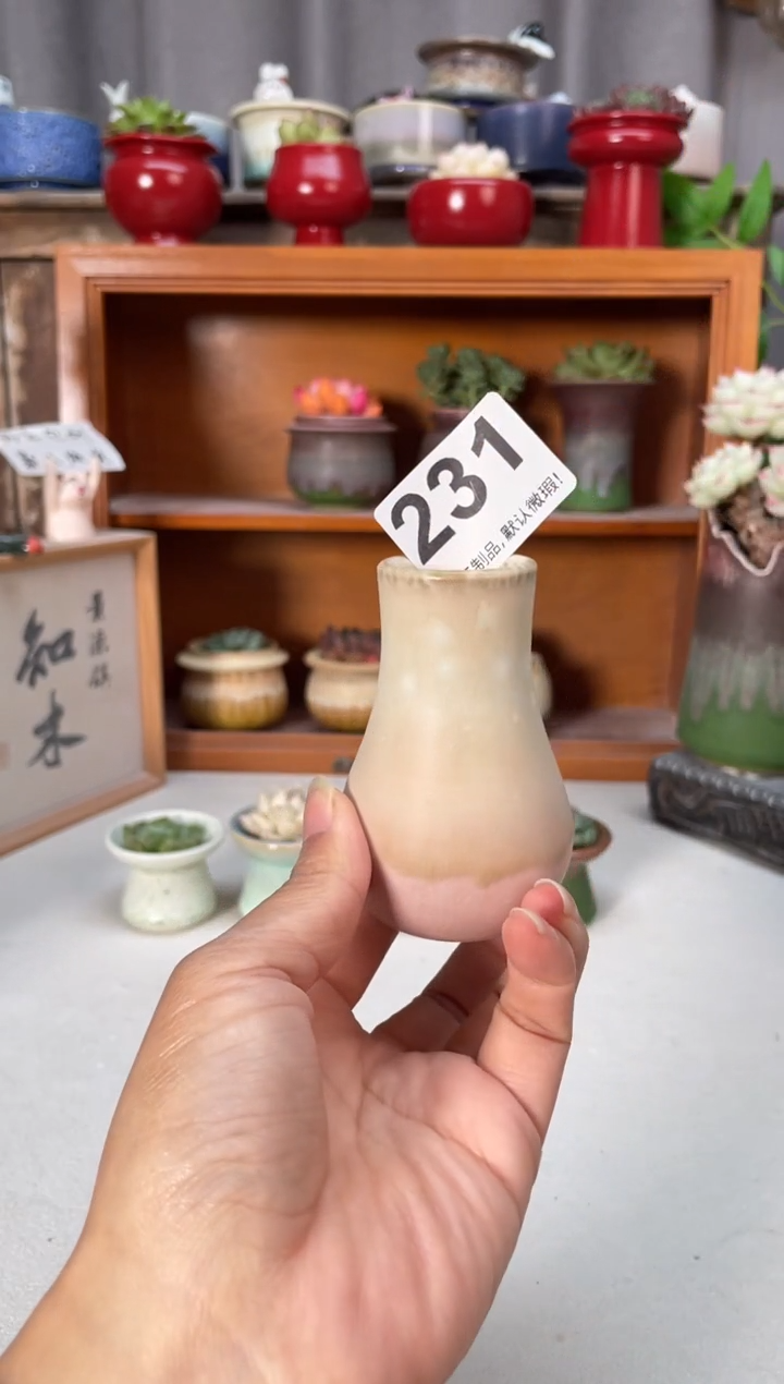 瓷片231知木小芳花盆