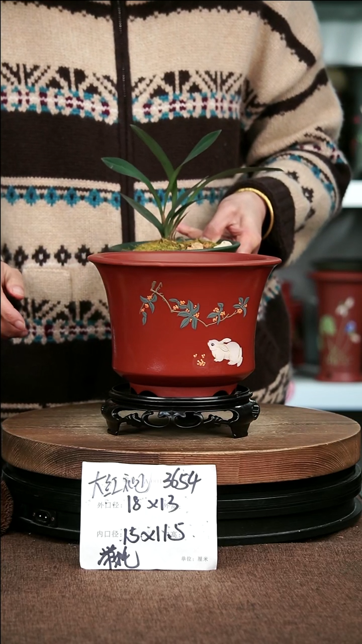 紫砂花盆花卉园艺3654+S