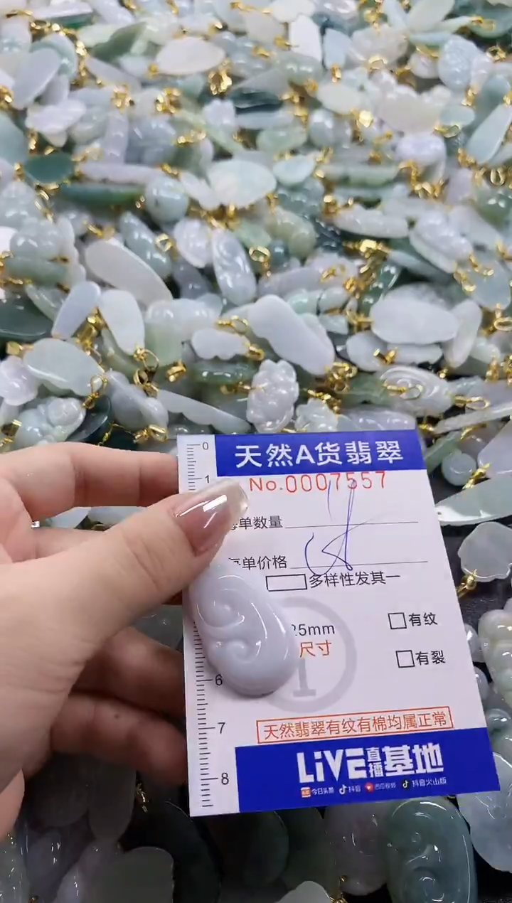 颈饰未镶嵌翡翠天然A货翡翠