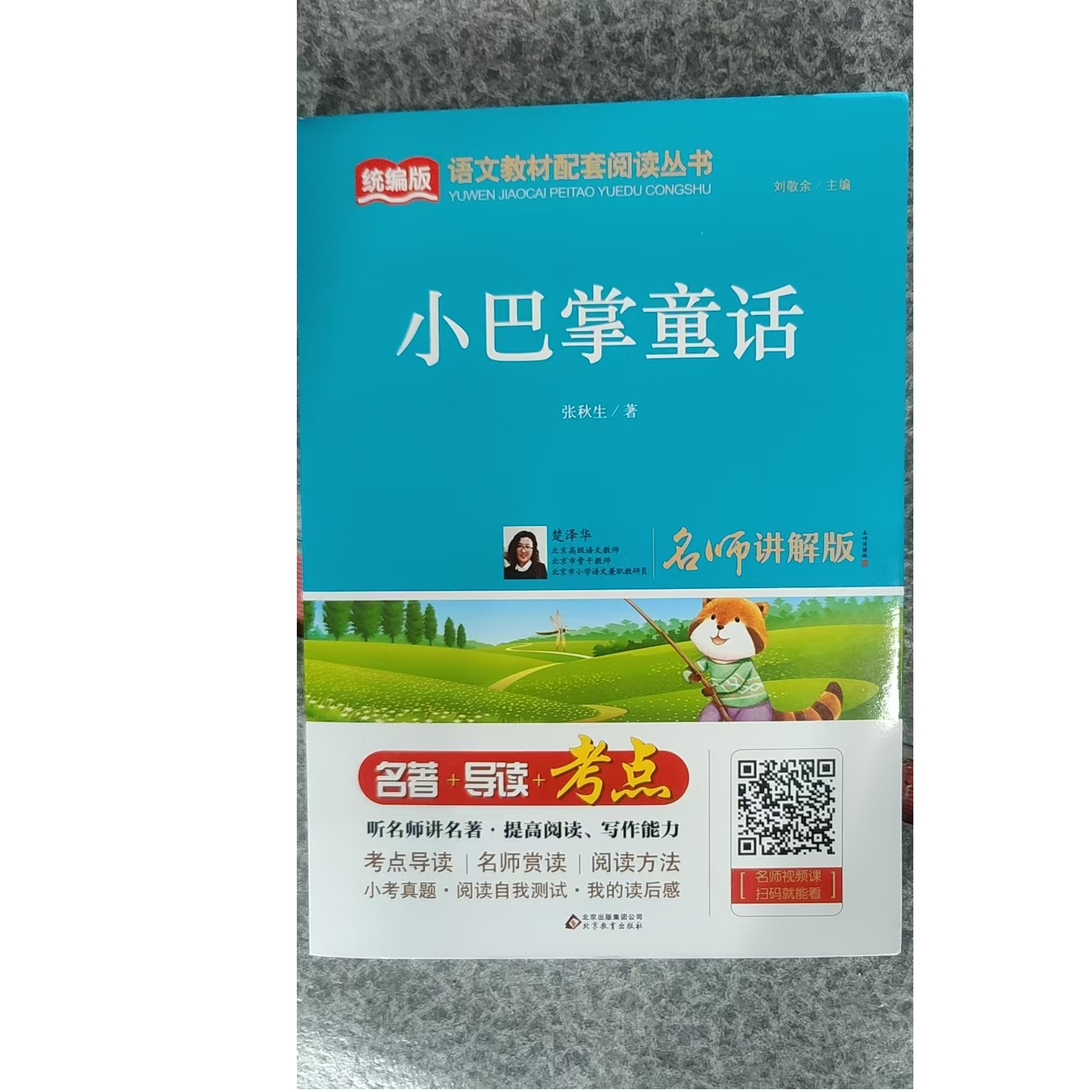 名师讲解版经典名著阅读涵盖小巴掌童话导读考点