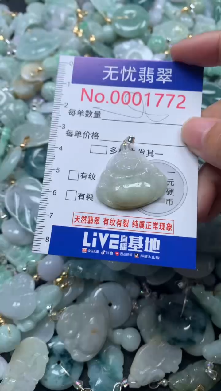颈饰未镶嵌翡翠1772