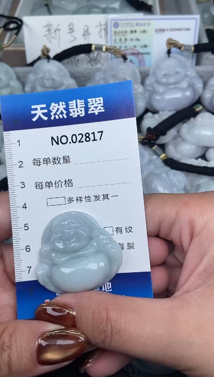 颈饰未镶嵌翡翠纯天然A货翡翠2817