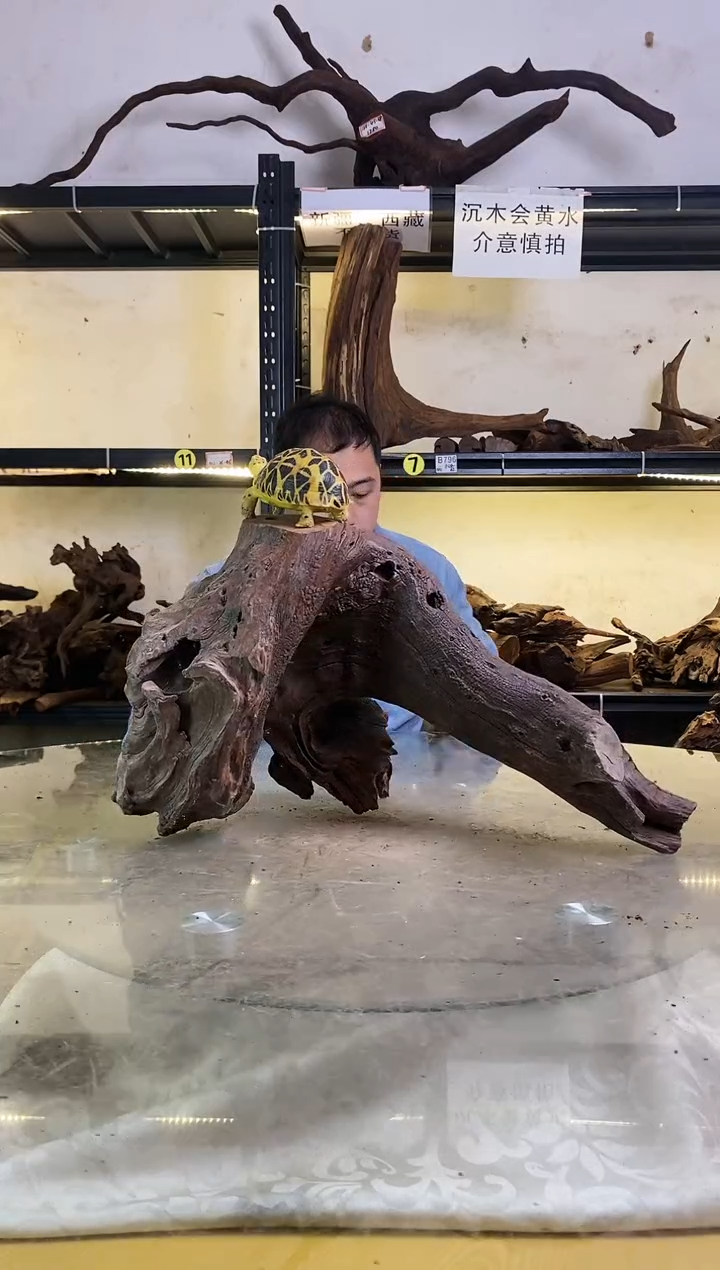 【闪购商品】柚木木艺鱼缸造景沉木985