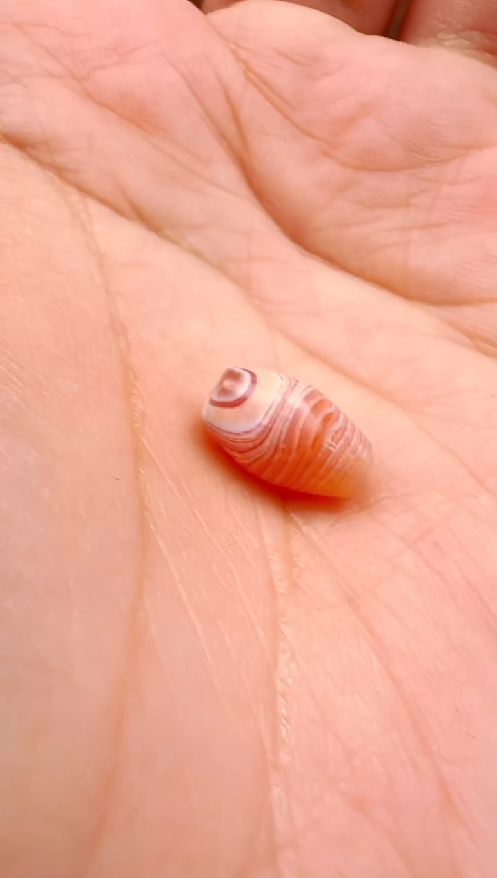 未镶嵌颈饰玛瑙/玉髓【肖钟出品】东南亚配珠