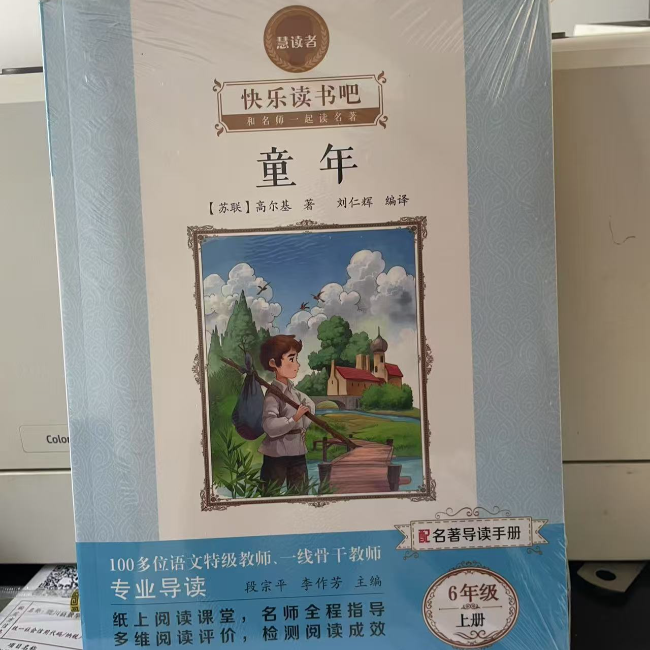 [德宏新华03]慧读者 快乐读书吧  童年