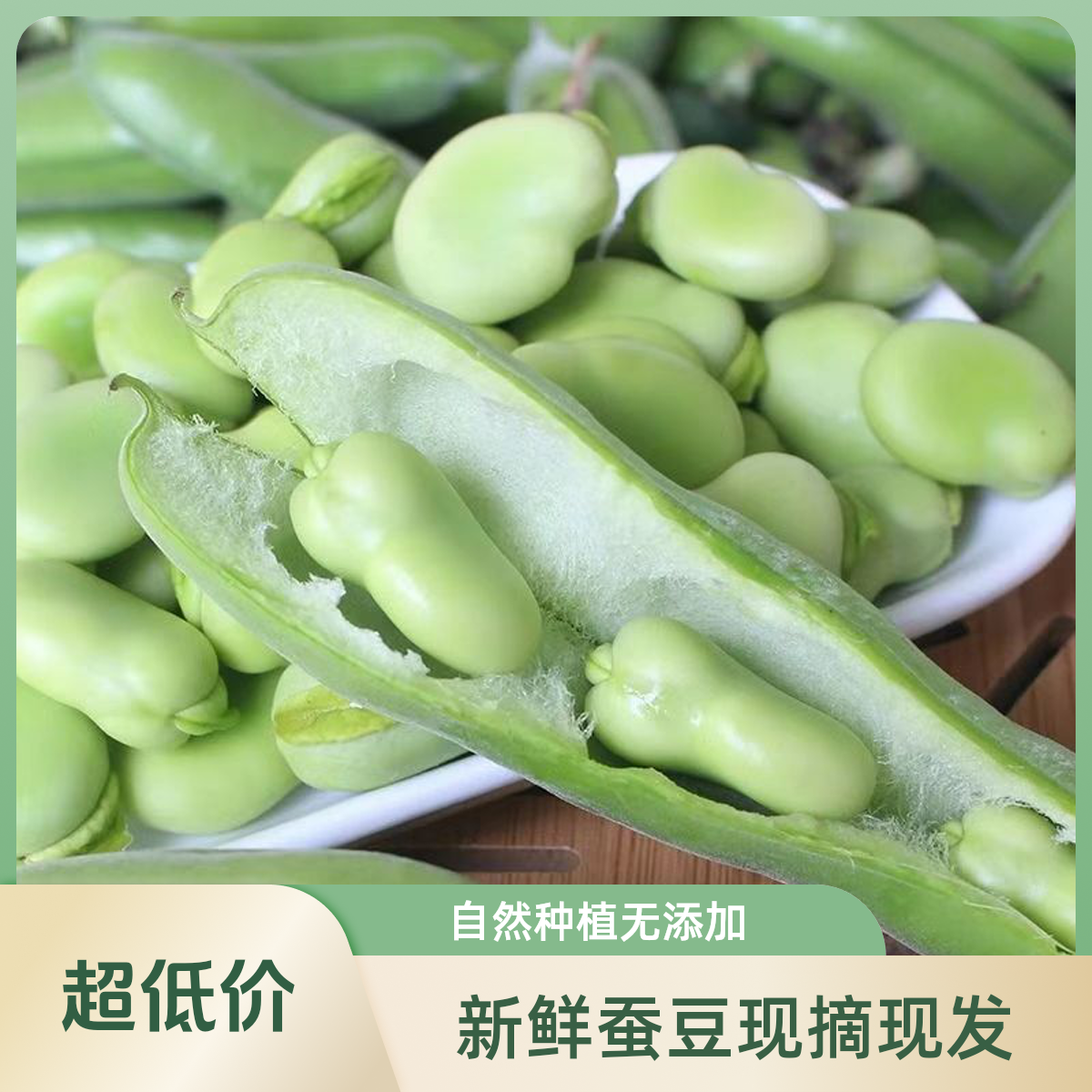 【顺丰】苏北农家新鲜蚕豆自种带壳青蚕豆现摘现发（2斤-5斤）