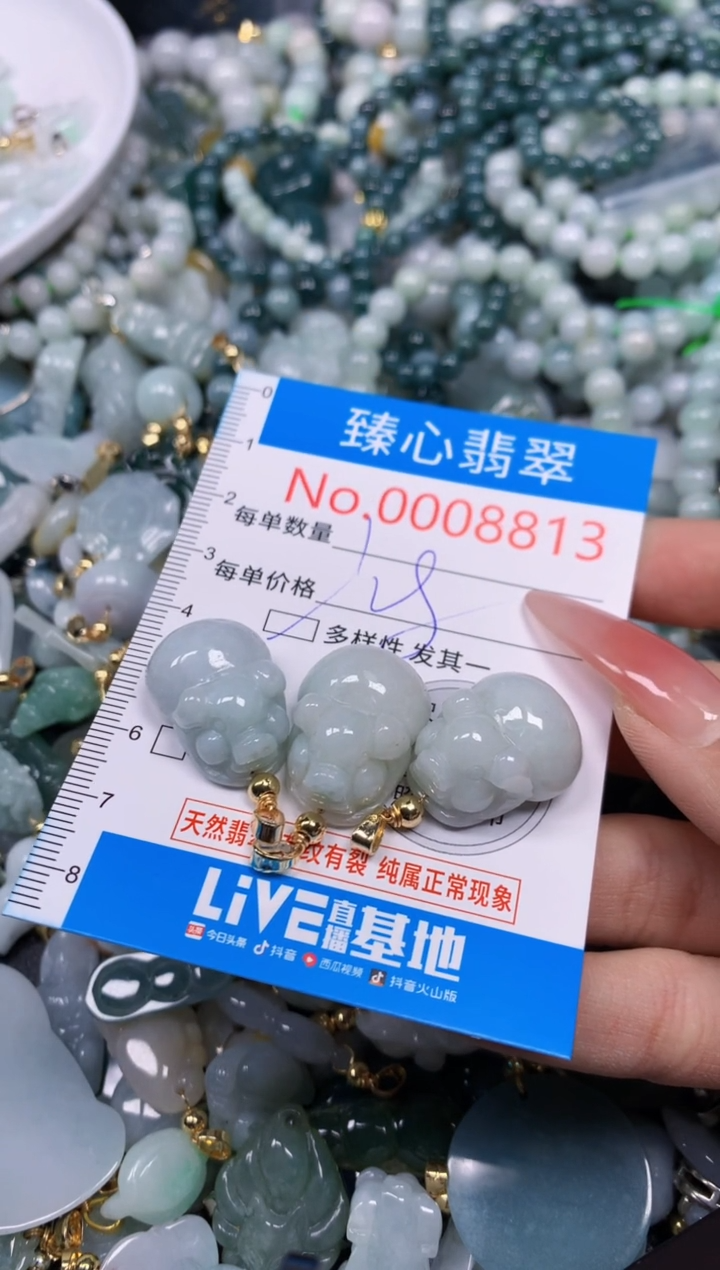 【闪购商品】翡翠颈饰未镶嵌含绳0008813