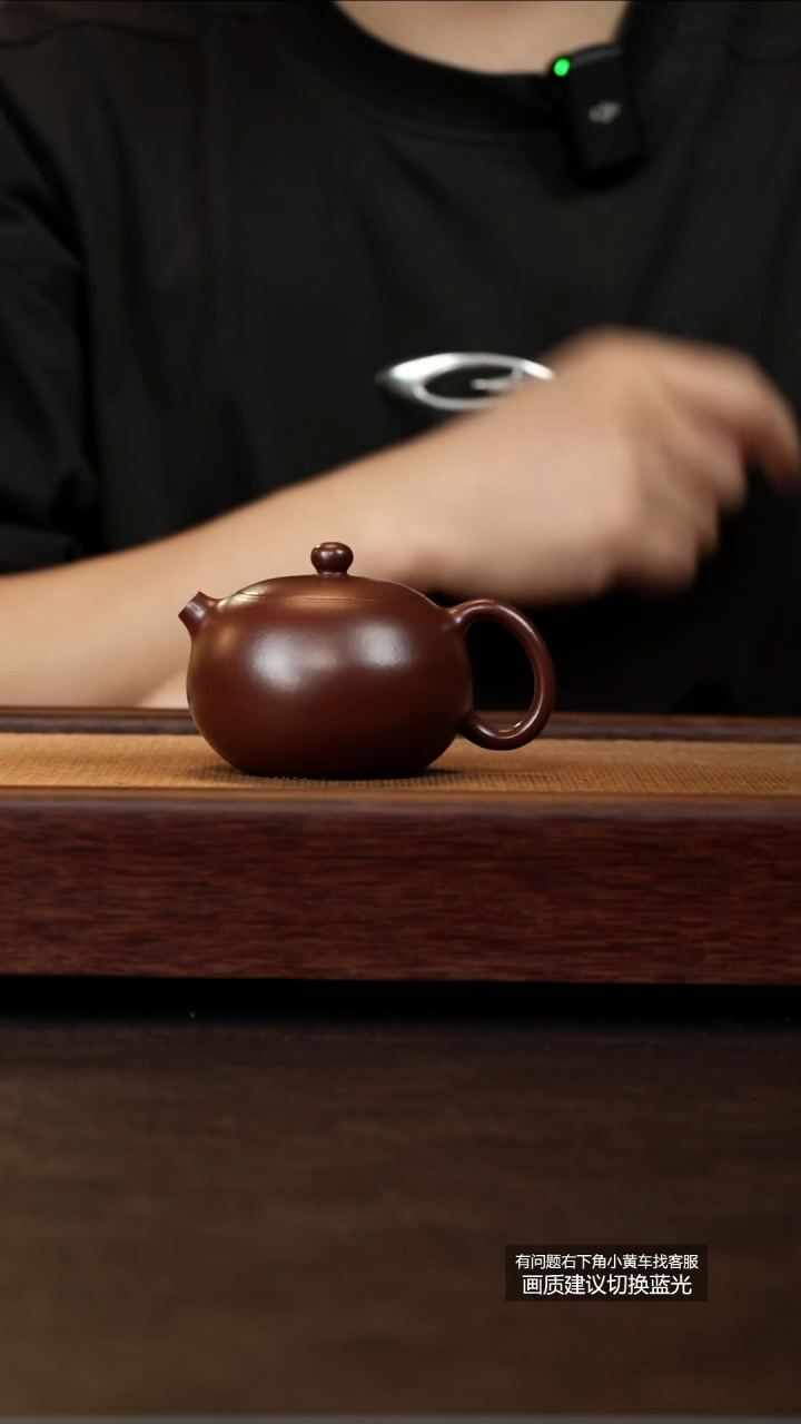 茶壶紫砂原矿紫朱泥河豚西施