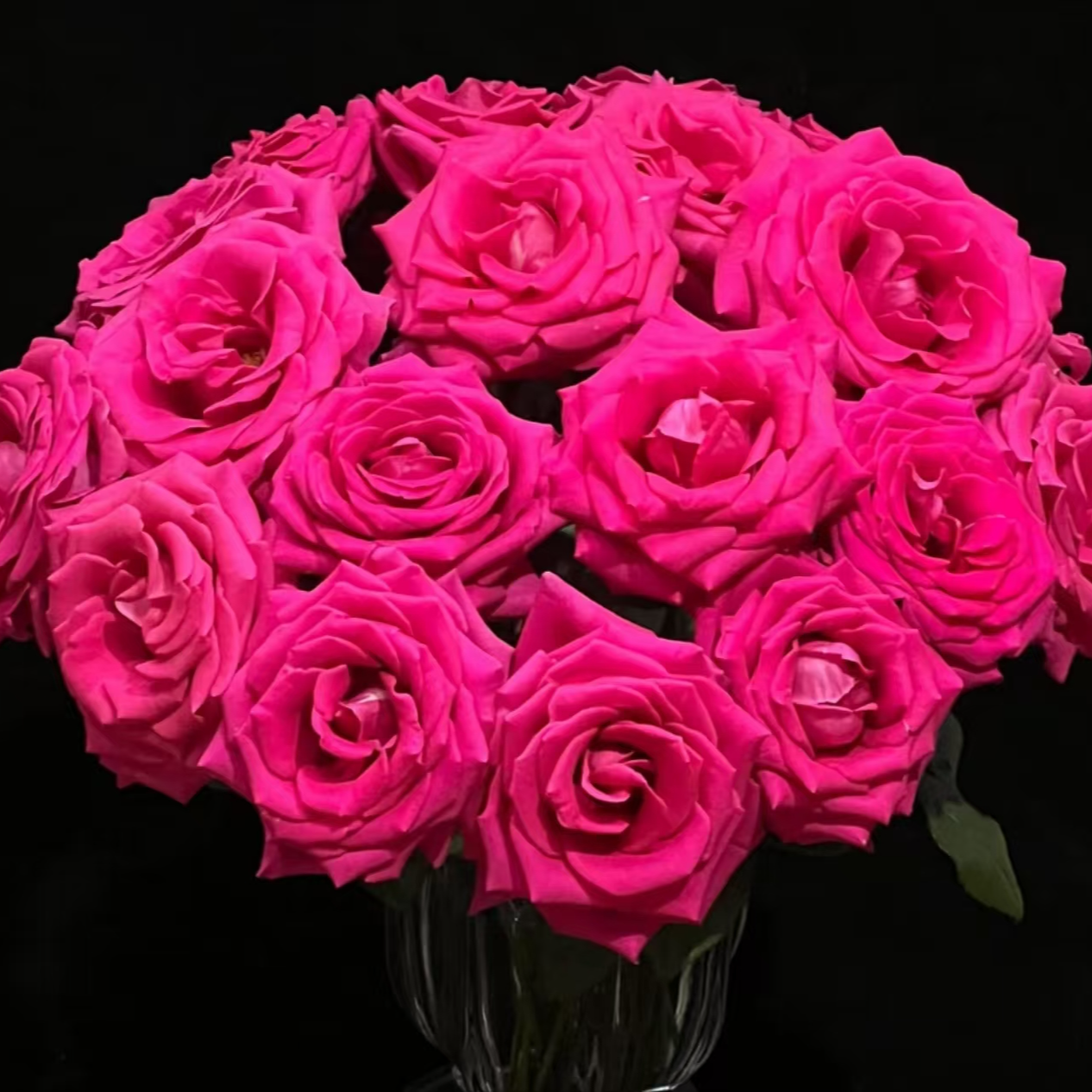 【花予专属】10枝 弗洛伊德玫瑰  云南鲜切花