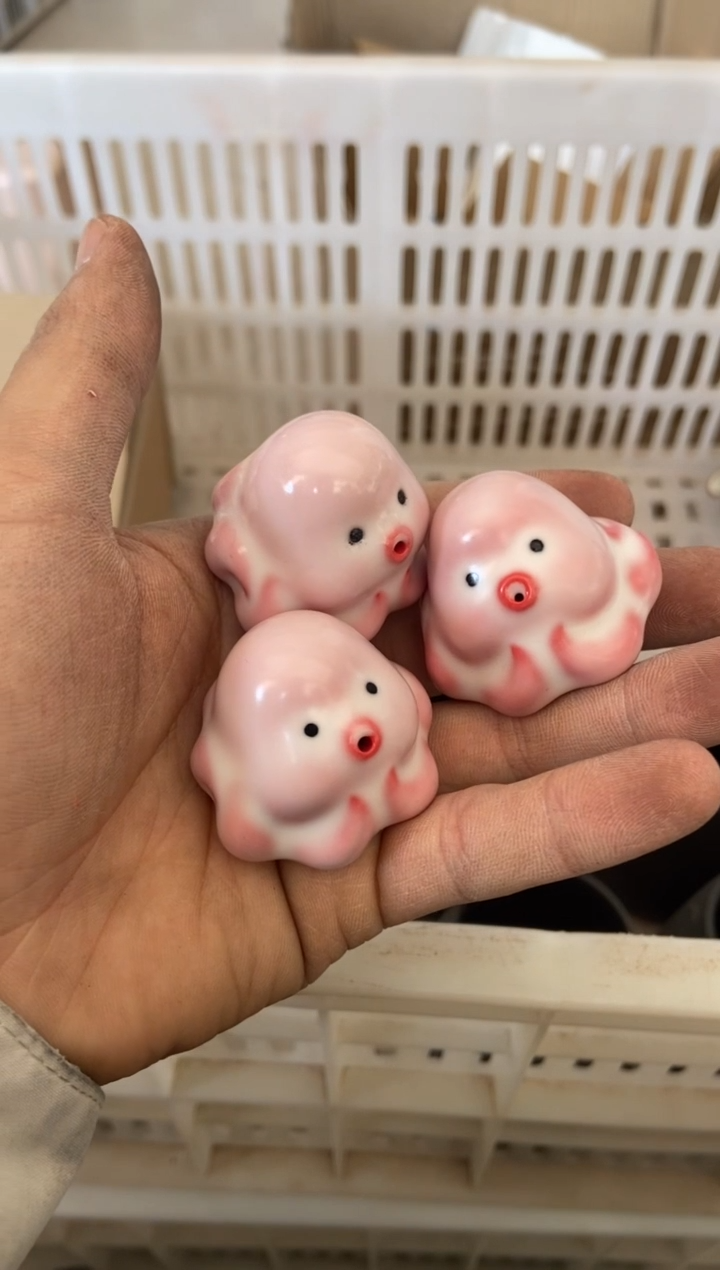 杯无运费险有瑕疵的摄影的产品有使用过的痕迹有点脏介意勿拍