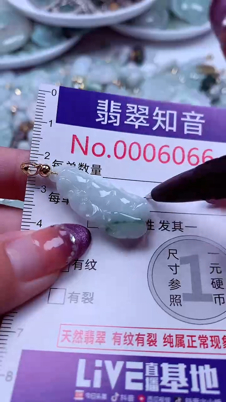 翡翠未镶嵌吊坠(不含链)6066