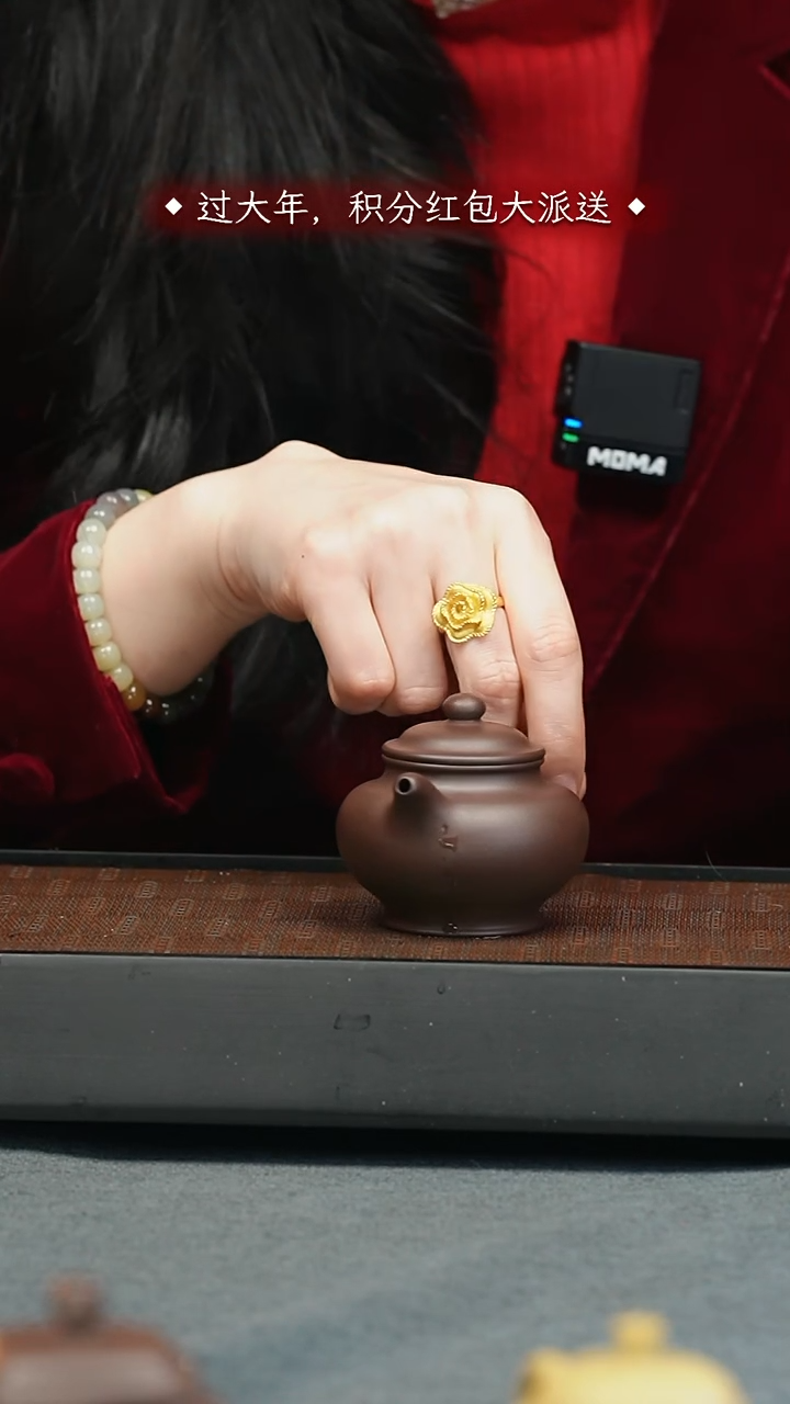 【闪购商品】紫砂茶壶五堂 掇只-许四海藏