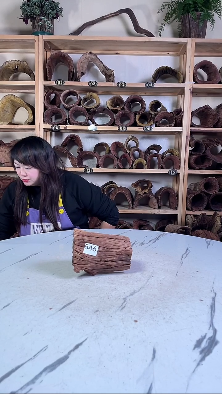 清***园云南紫柚木造景沉木546