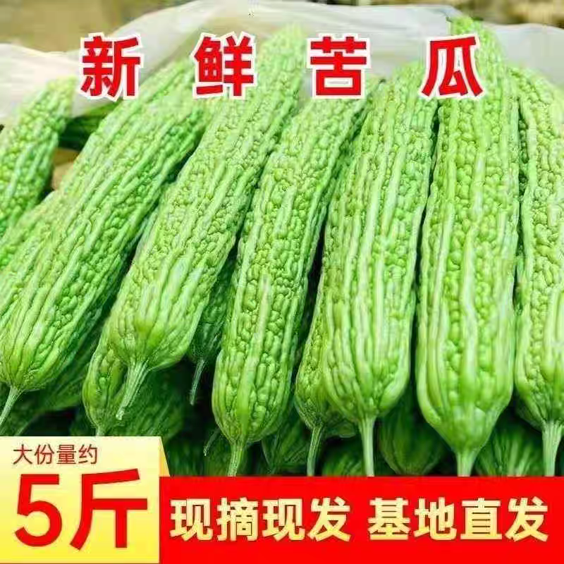 5斤新鲜苦瓜现摘现发农家自种整箱包邮绿心可榨汁
