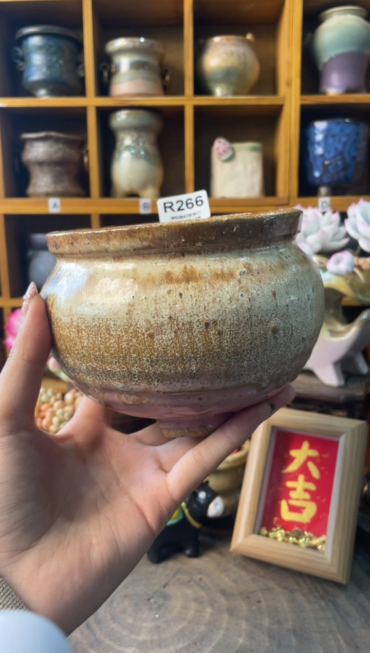 266内口11【多肉花盆多肉盆】