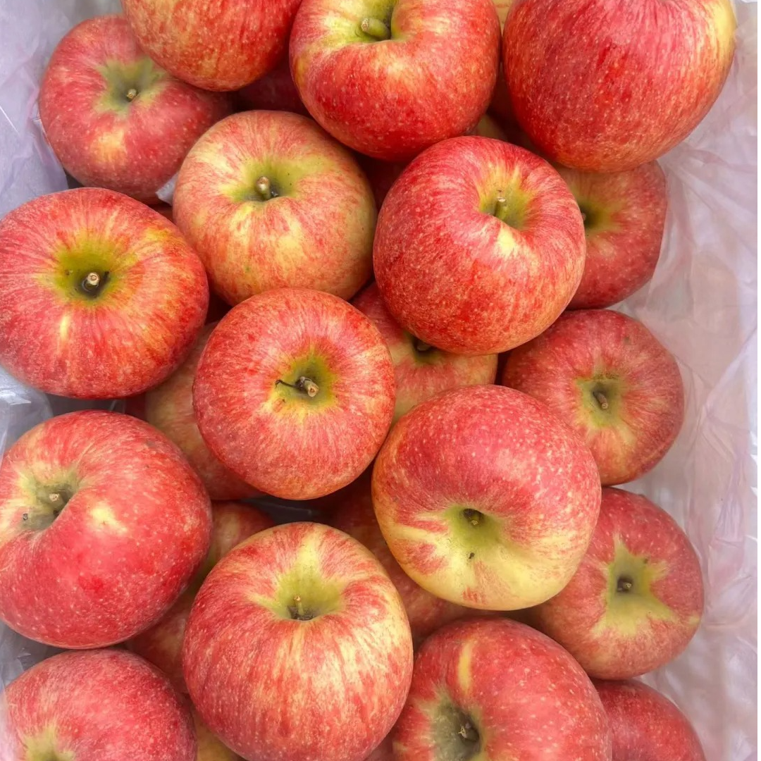  爱妃苹果  维纳斯苹果  烟台富士（3种）  新鲜脆甜#平安果#圣诞山东省