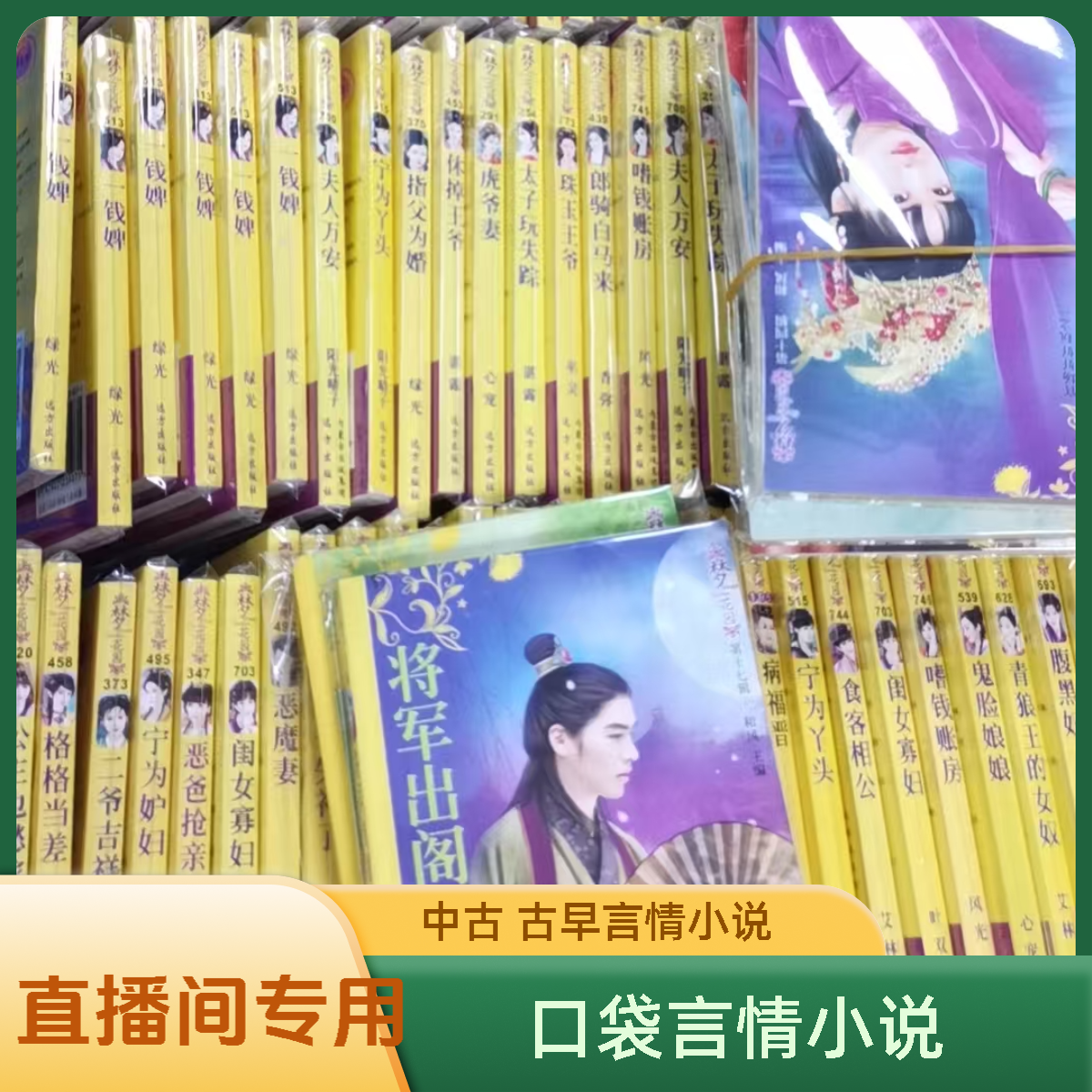 直播间专拍 瑕疵 古早 中古言情小说 口袋言情小说书  