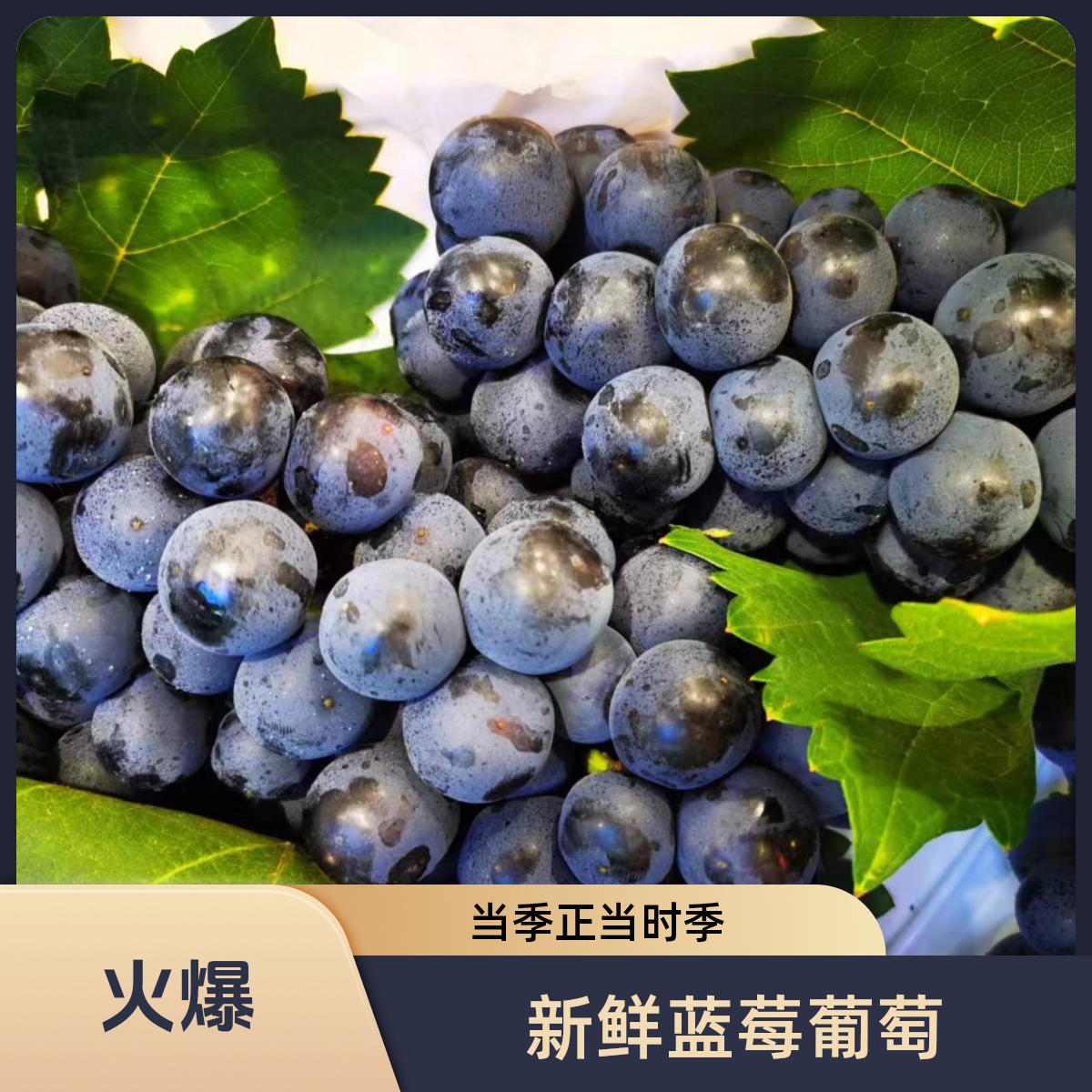 【拉萨水果同城配送】云南新鲜蓝莓葡萄正当季1-3斤装云南省