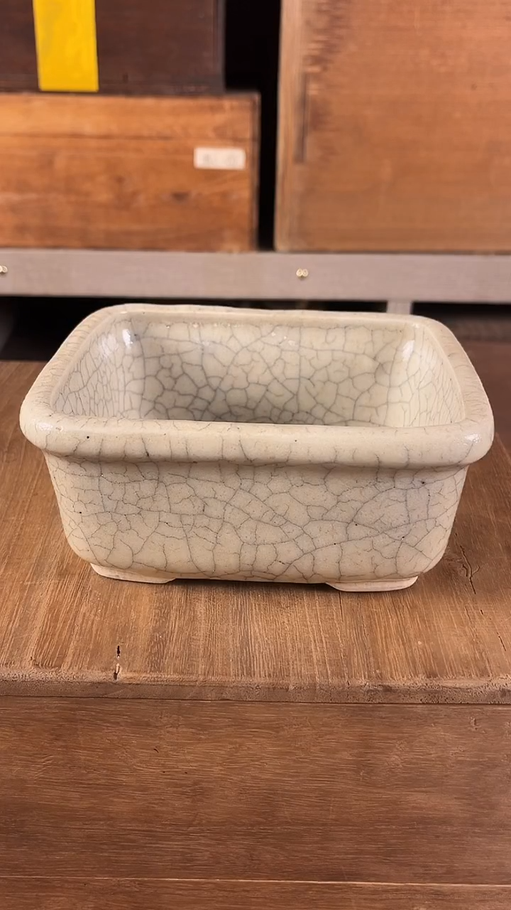 其他陶瓷海流回轩