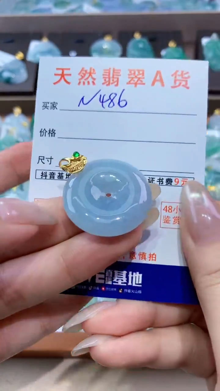 颈饰未镶嵌翡翠天然翡翠A货挂件