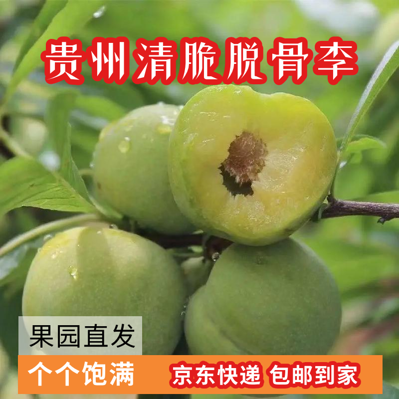 D5斤精选脱骨李四月李贵州安顺李子四月李新鲜当季水果产地直发