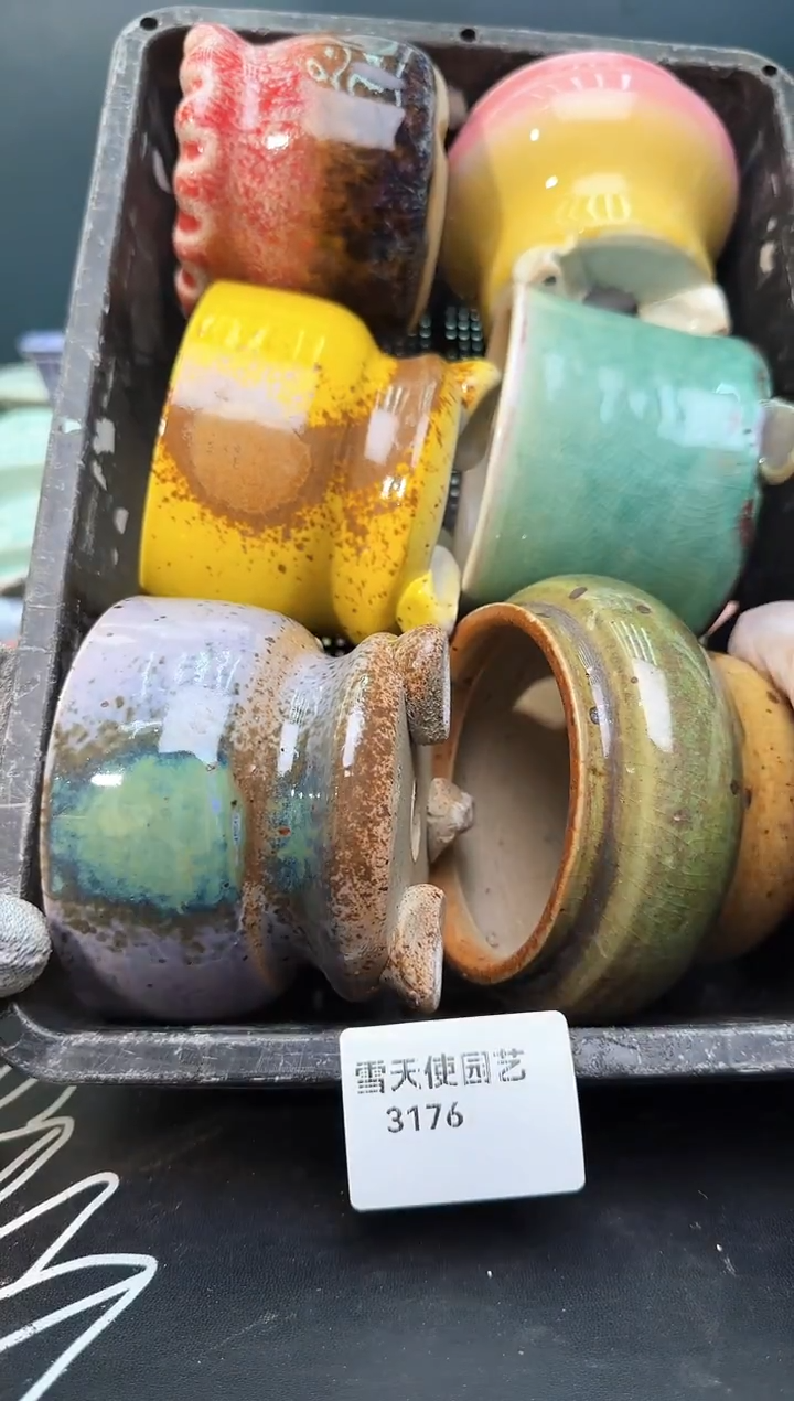 3176  小水墨盆5个冰淇淋盆1个  默认微瑕