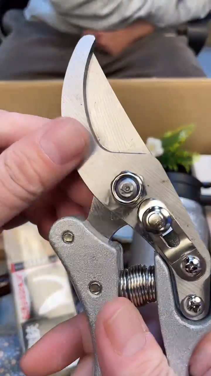 淡*如图所示 老崔精选