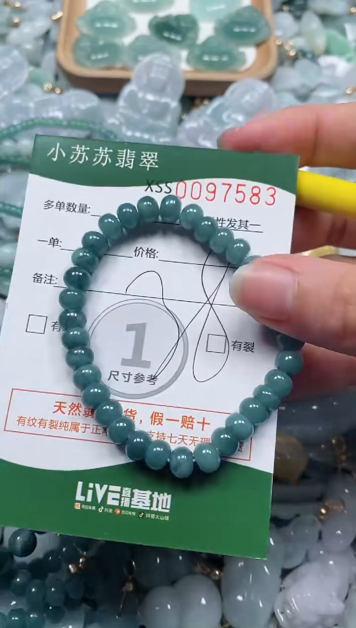 【闪购商品】翡翠颈饰未镶嵌闪购商品0097583