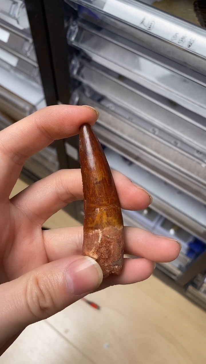 鹏*6666666666666 精美摆件创意礼物家居配饰新年礼物个人收藏