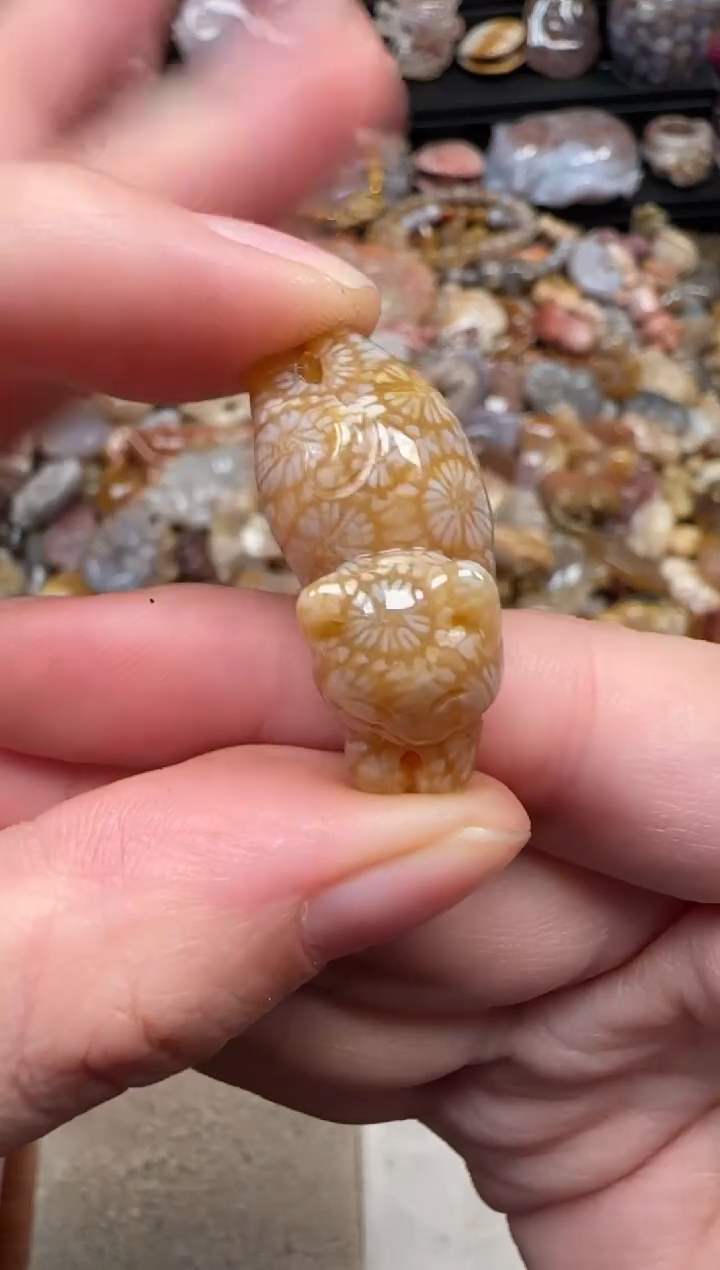 颈饰未镶嵌硅化珊瑚（珊瑚玉）210