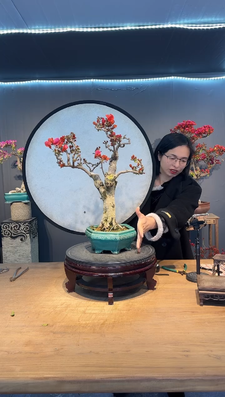 【闪购商品】无风的雨  同安红