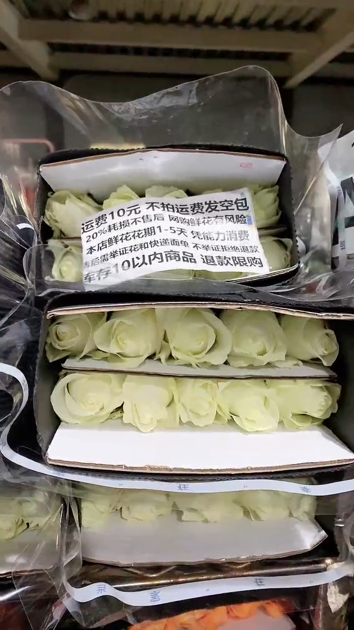A2-1  骄傲10支  20%耗损发