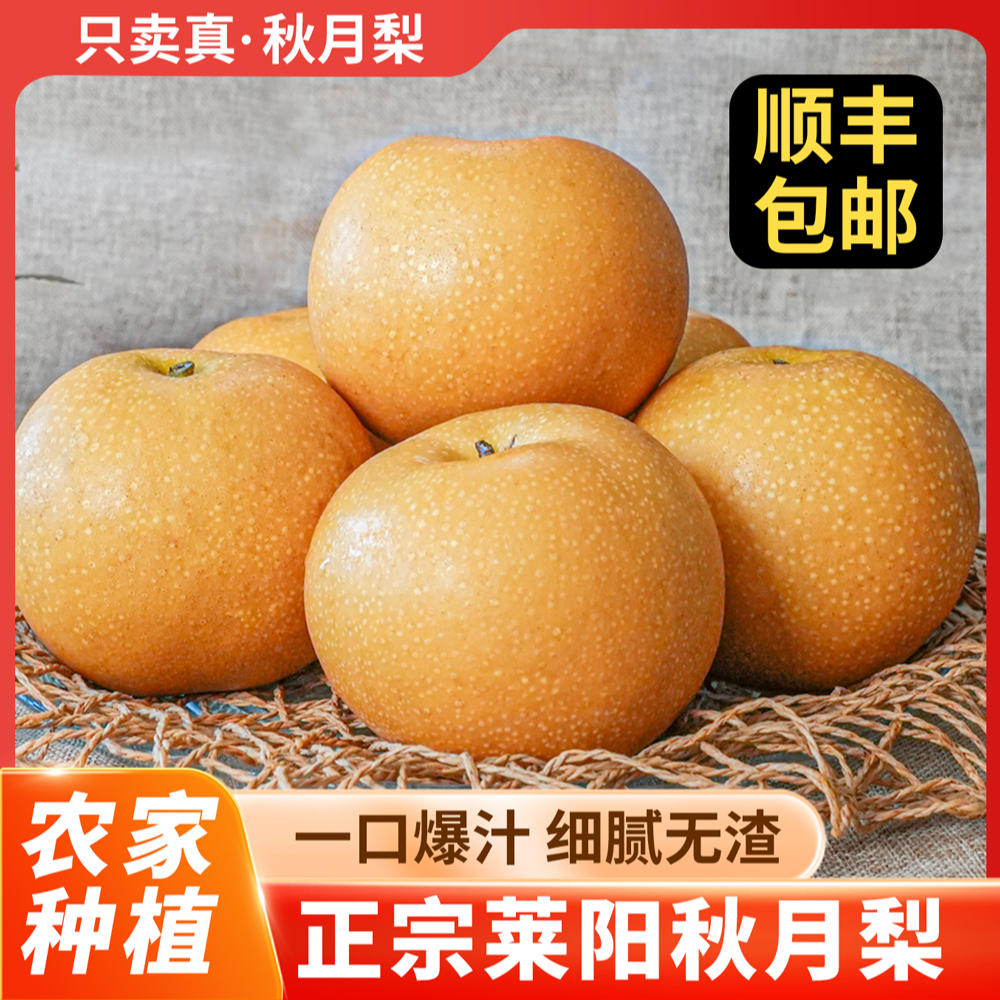 【顺丰包邮】保真！莱阳秋月梨山东烟台脆甜冰糖梨子皮薄多汁水果