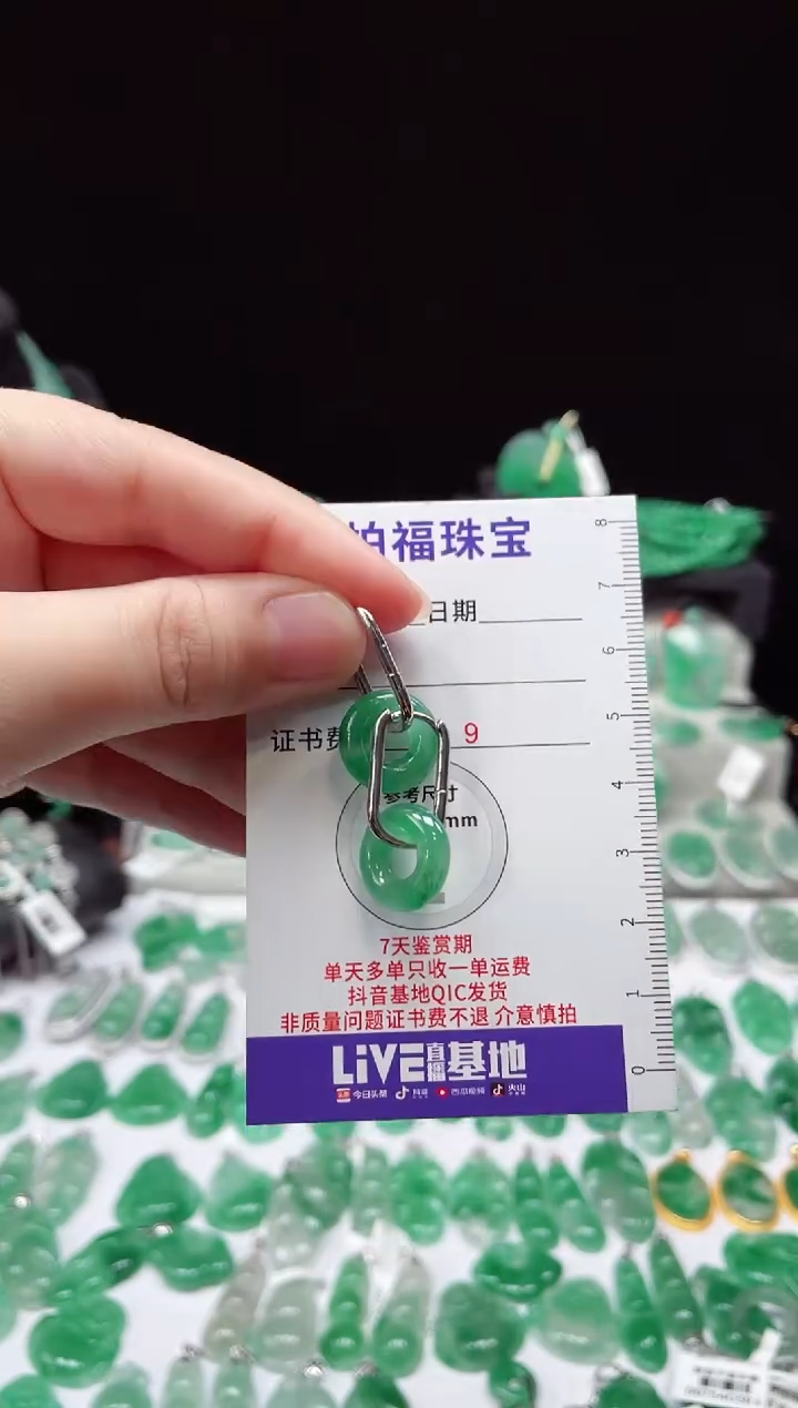 吊坠(不含链)未镶嵌石英质玉（非洲翠）耳包 8.903