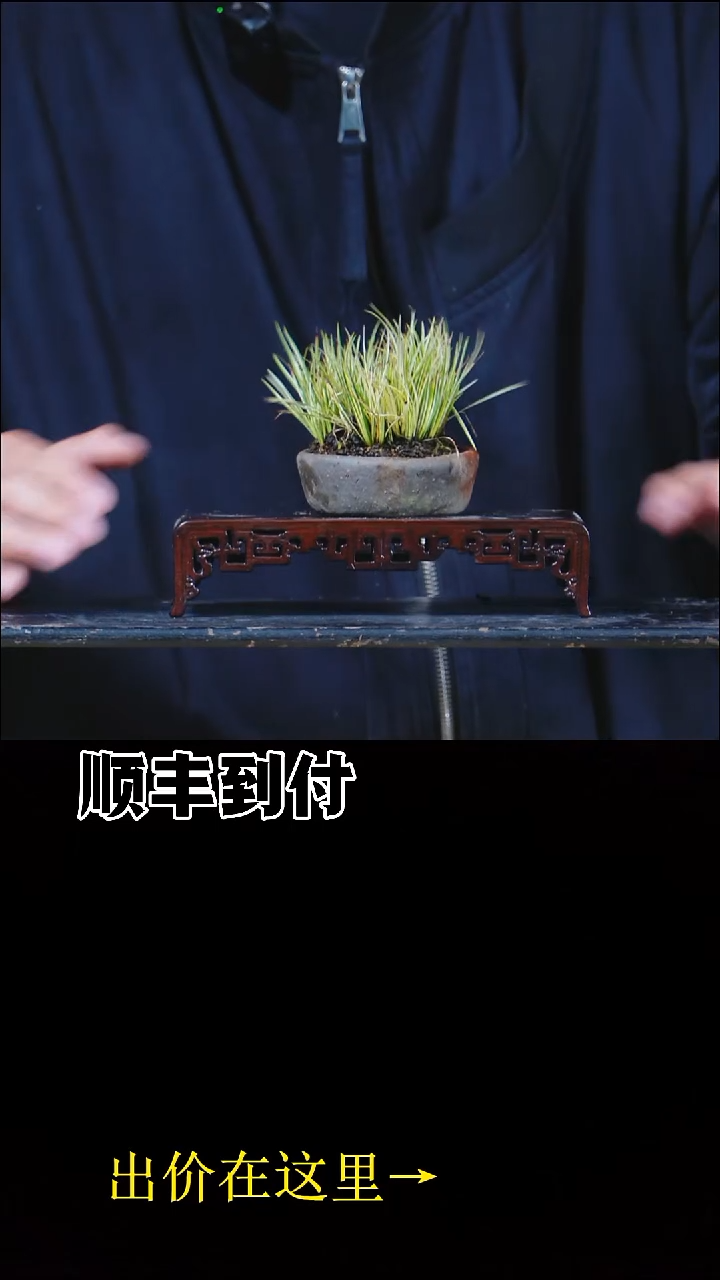 以实际为准有系川菖蒲bubaoyou