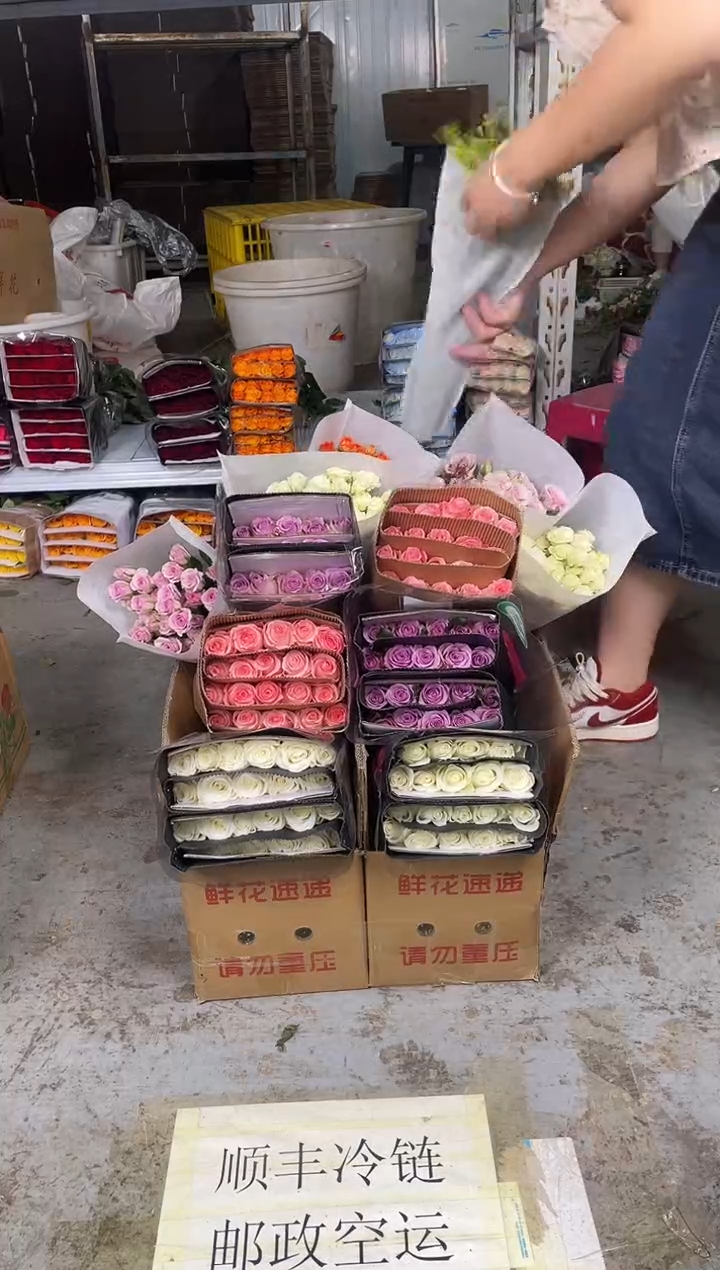 骄傲20枝+戴安娜20枝+紫霞20枝+繁星10枝+莱拉10枝+橙芭比10+黄莺