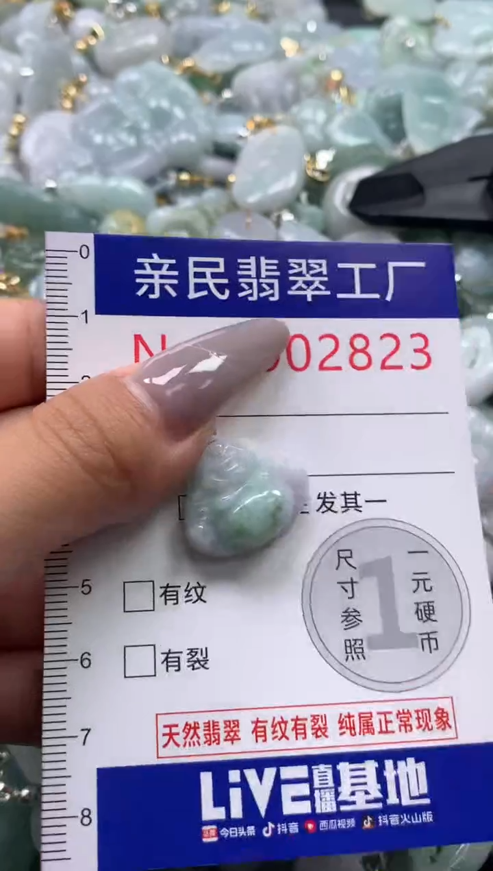 颈饰未镶嵌翡翠2823