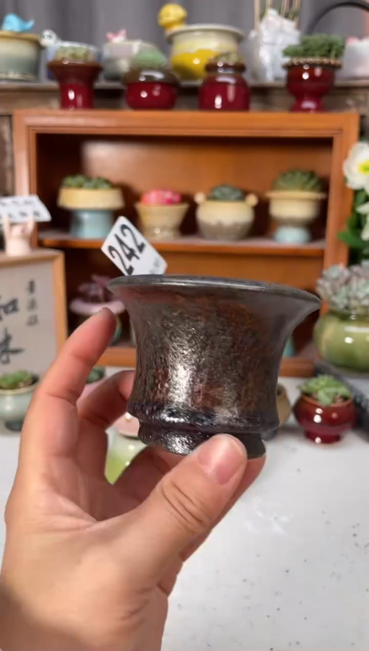 瓷片242小芳直播编号