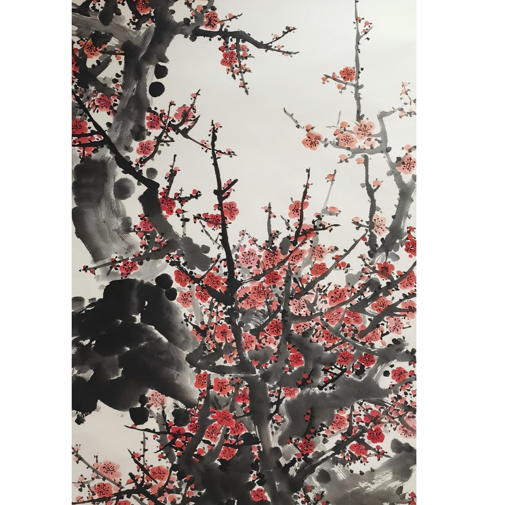 【辽拍】V250709-2-497《梅花》（8.7平尺) 纸本镜片 DD13