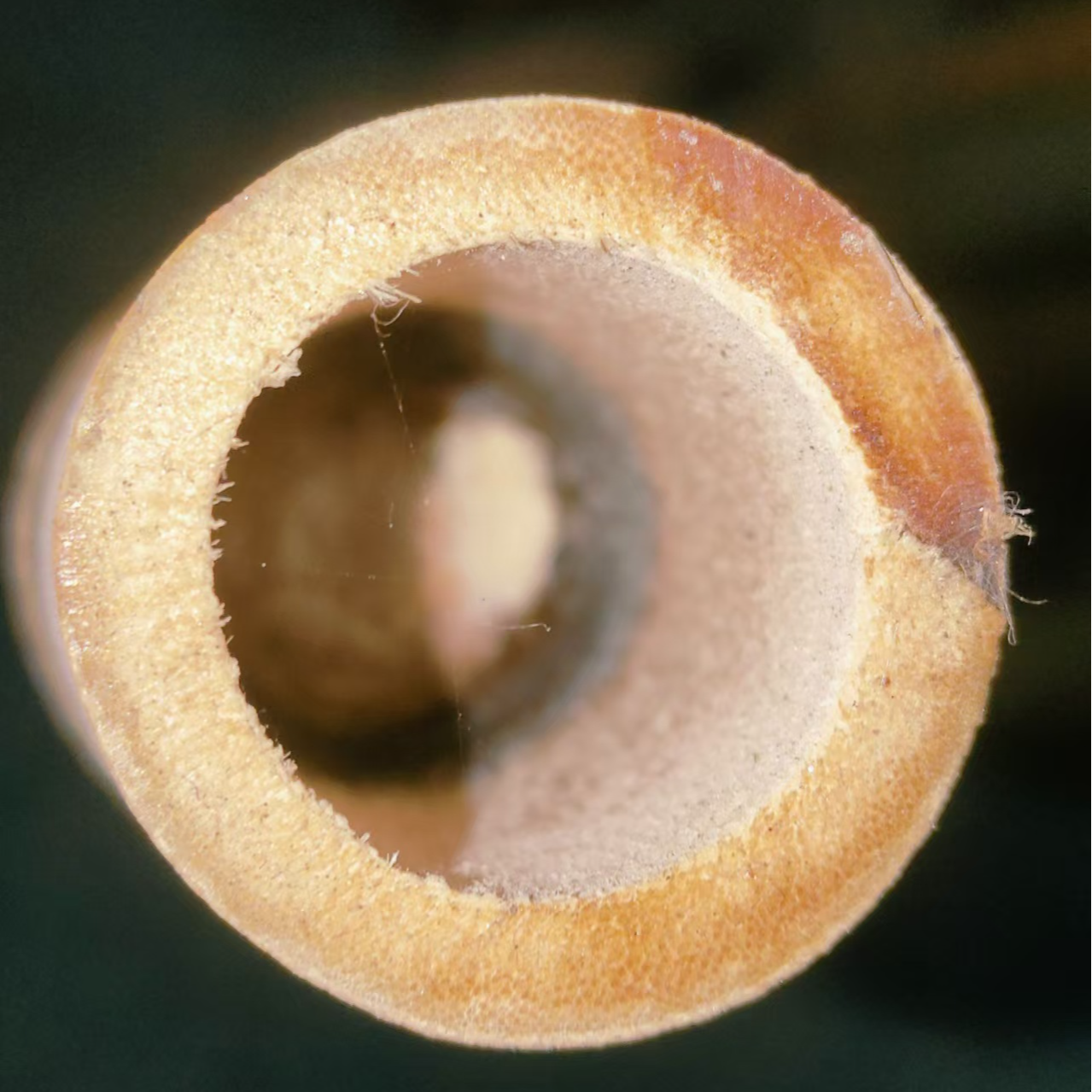 笛箫竹筒笛箫料箫料竹子料灵川竹料