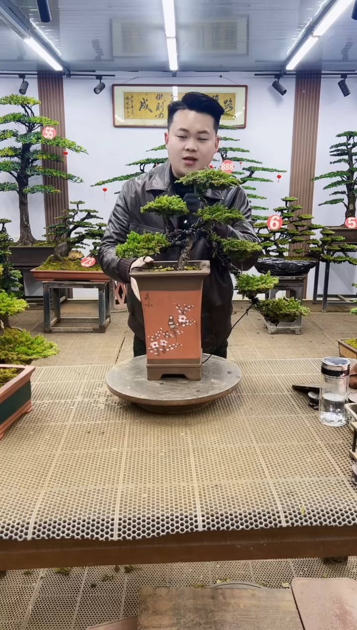 【闪购商品】000000000