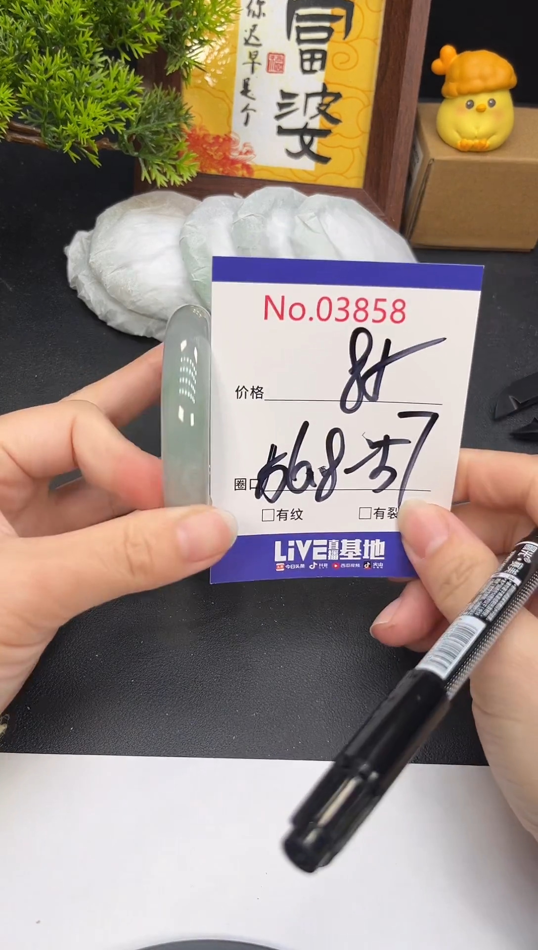 未镶嵌手镯翡翠3858