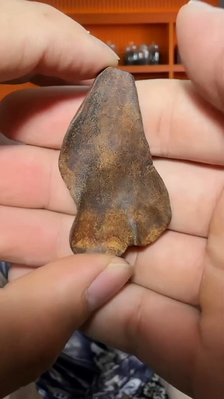 沉香吊坠108号红土包头多样性发一