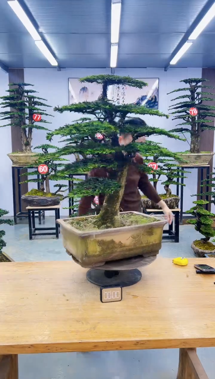 无花朵000000000000000000000000000