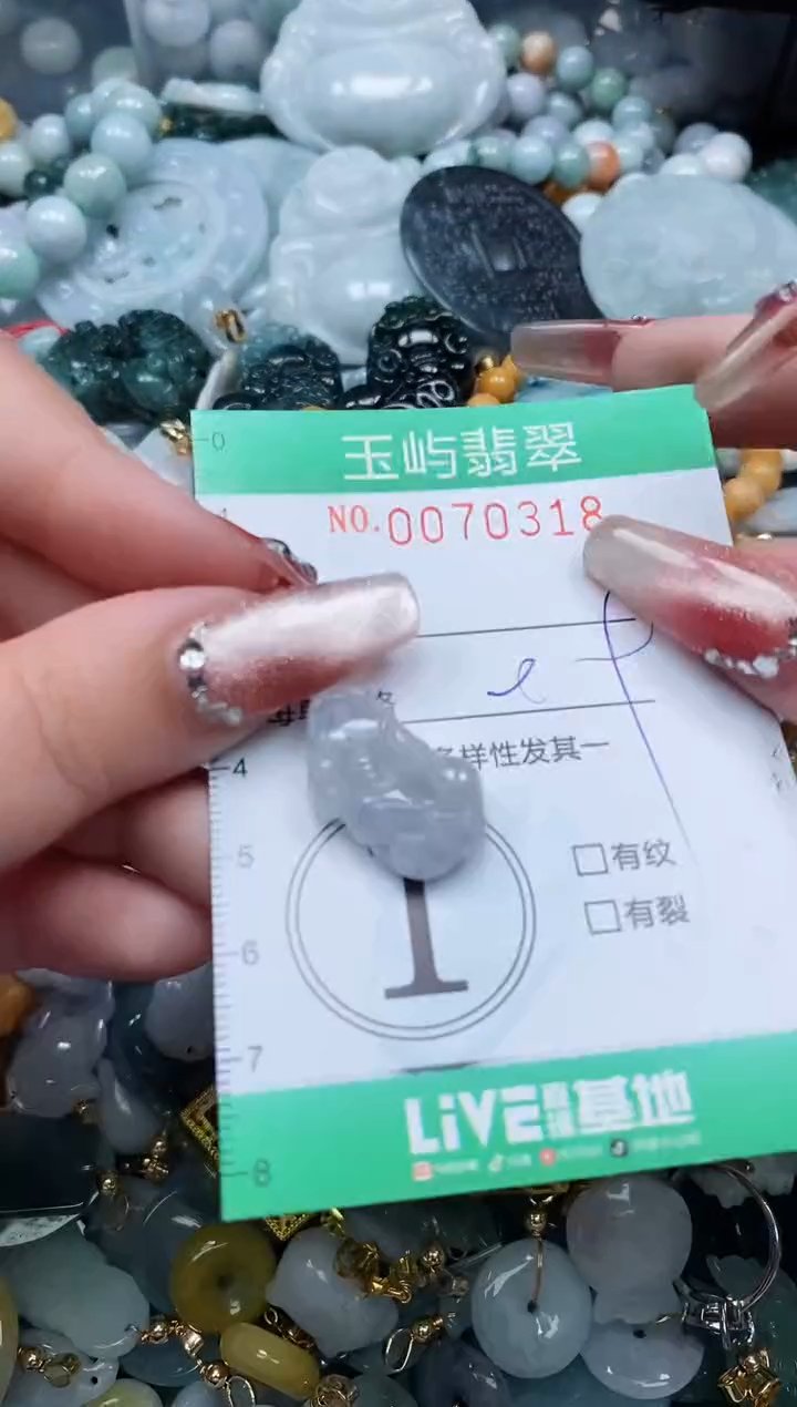 【闪购商品】翡翠颈饰未镶嵌闪购0070318