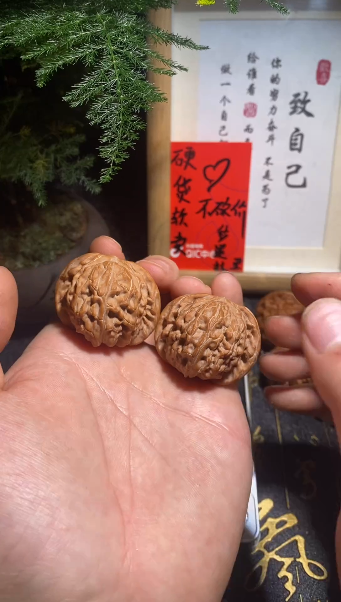 文玩核桃把件10号 39矮桩满肉磨盘